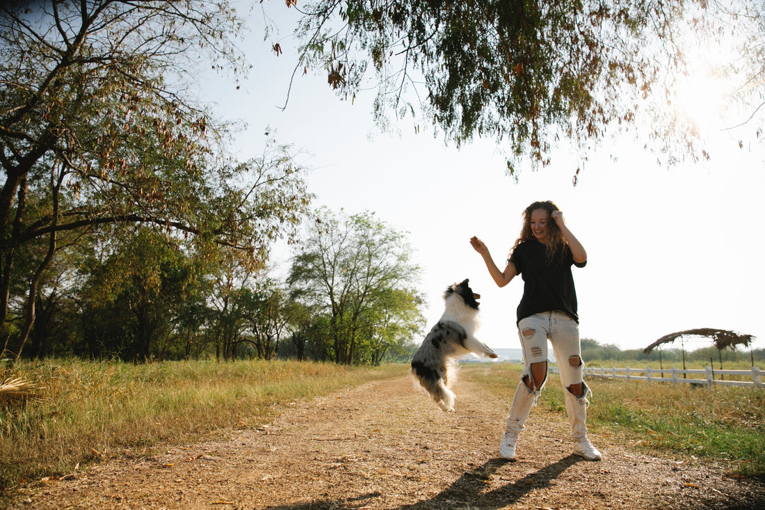 The importance of joint health and supplements for dogs