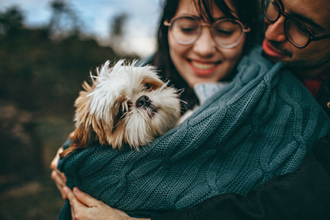 The Top 5 Supplements for Boosting Your Dog's Immune System