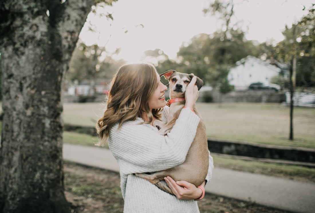 The Top 5 Dog Supplements Recommended by Veterinarians