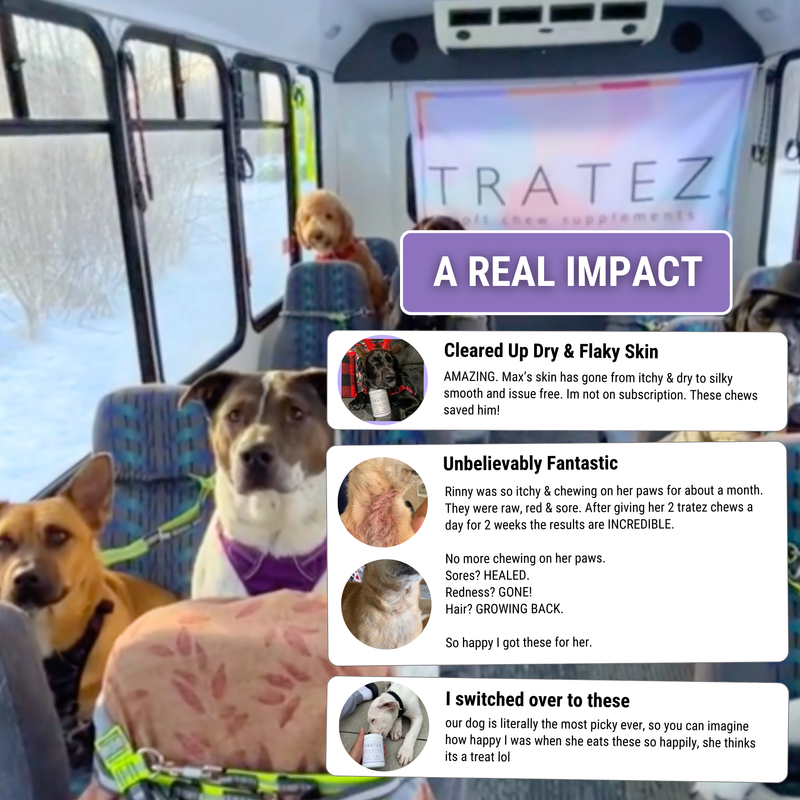 33% OFF Skin & Coat Chews