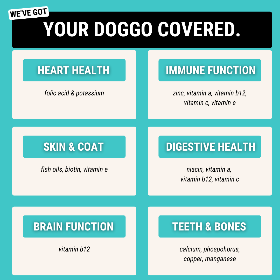 Premium Multivitamin Chew