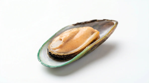 Green-Lipped Mussel