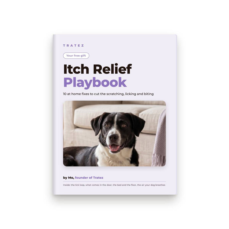 Itch Relief Playbook