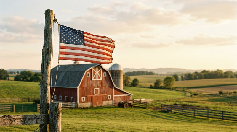 Made in the USA