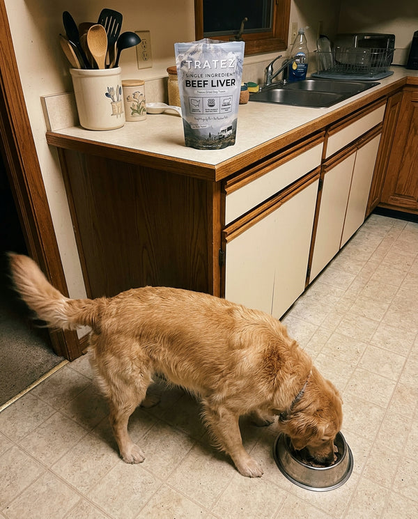 Danielle R.