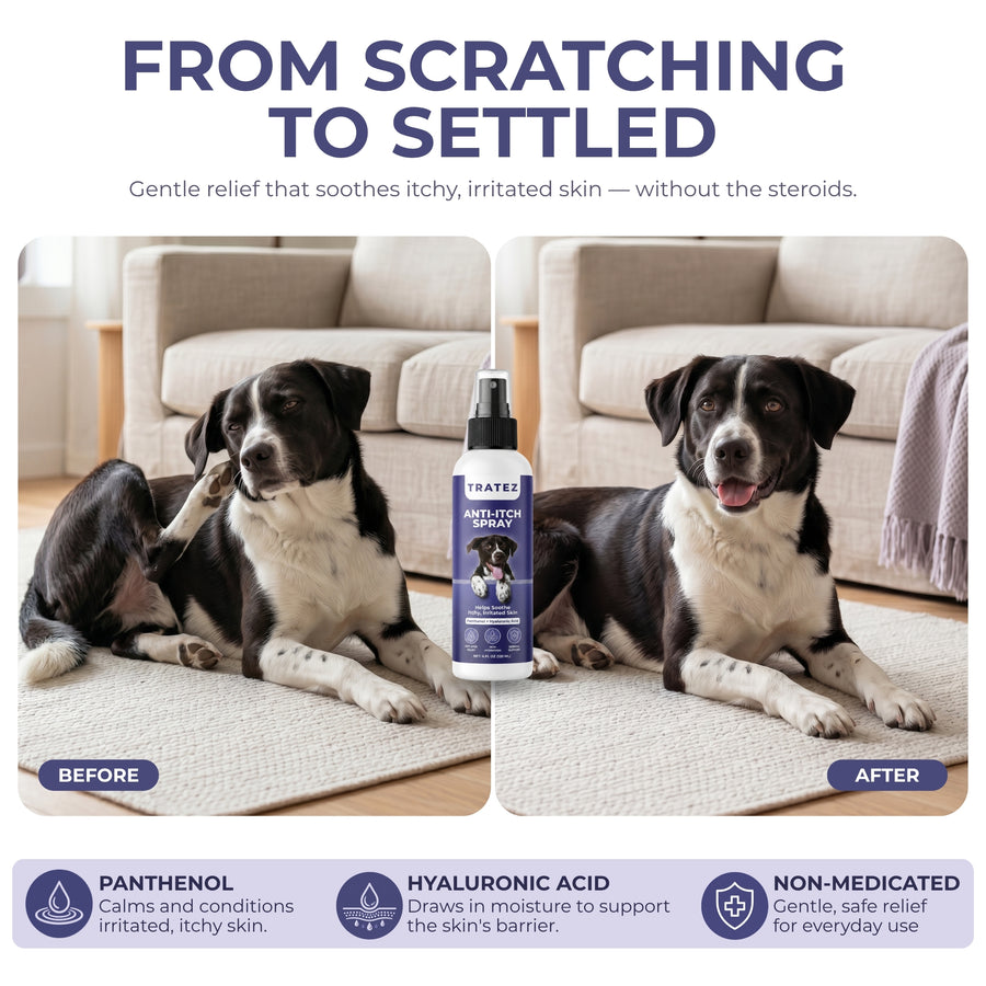ANTI ITCH SPRAY