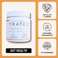 Probiotic Chews