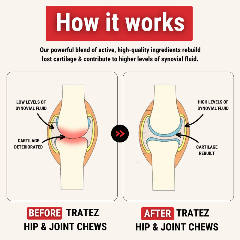 Hip & Joint Chews