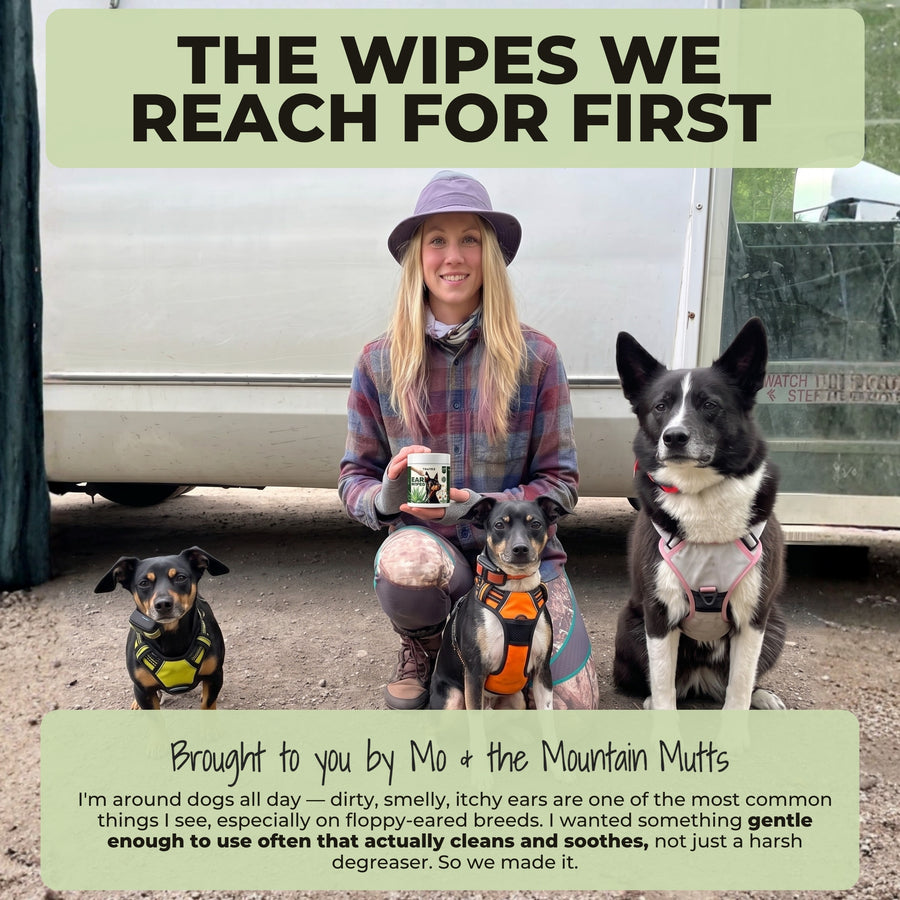 Ear Wipes
