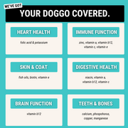 Premium Multivitamin Chew