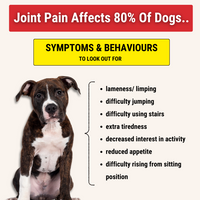 Hip & Joint Chews