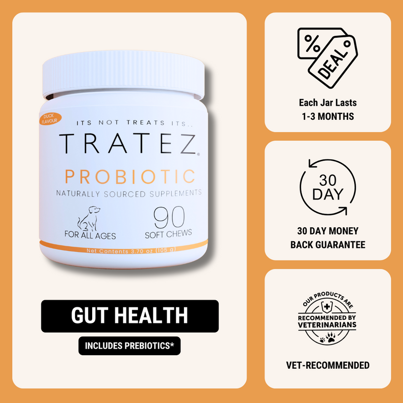 Probiotic Chews