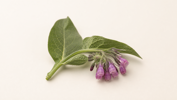 Allantoin
